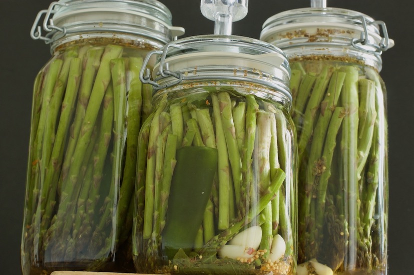 Three airlock jars of fermented asparagus.