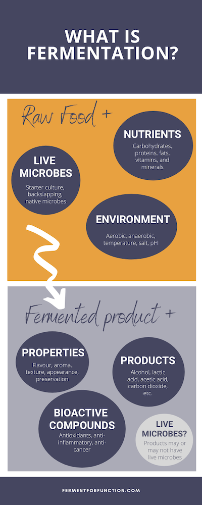 Infographic on what is fermentation. It starts with raw food, then becomes a fermented product with added value